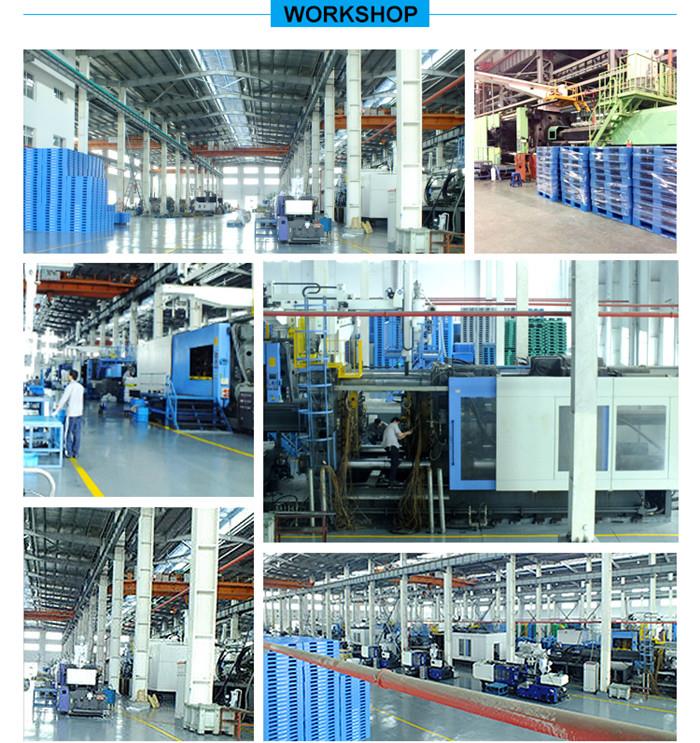 plant (2).jpg